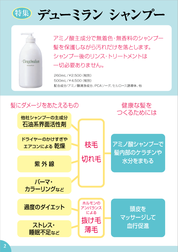 デューミラン26号P2